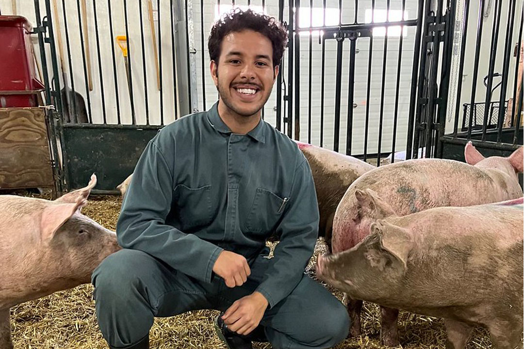 Dr. Arthur Nery Finatto (DVM) and his research team have discovered porcine β-defensin 5, a novel molecule that may help to reduce the industry’s reliance on antibiotics. (Photo: Supplied)